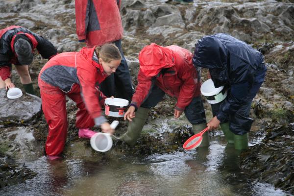 Rockpooling